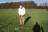 boeren-golf-dhras-2004-1119 - Afbeelding 7 van 7
