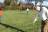 boeren-golf-dhras-2004-1123 - Afbeelding 3 van 7